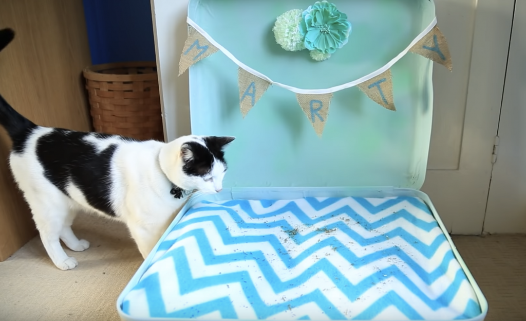 Green Dog Pet Supply Make your own pet bed