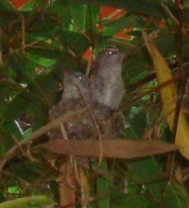 day22prefledge2 day22prefledge2