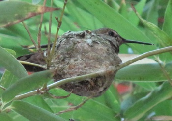 mom takes a rest