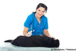 new-canine-vaccination-guidelines1027