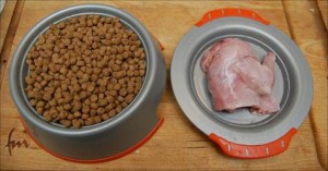 raw-and-kibble-cat-food