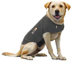 thundershirt