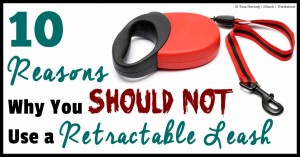 10-reasons-retractable-leash-fb